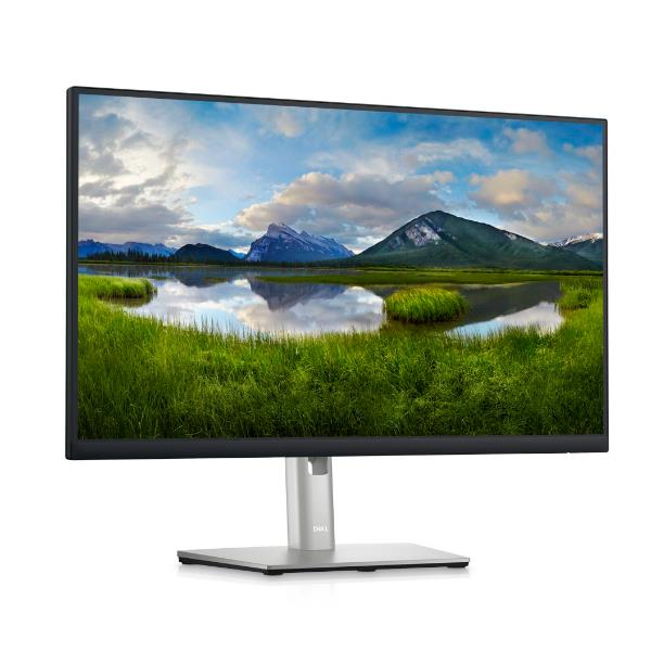 Image of DELL 24 MONITOR - P2423D -P2423D